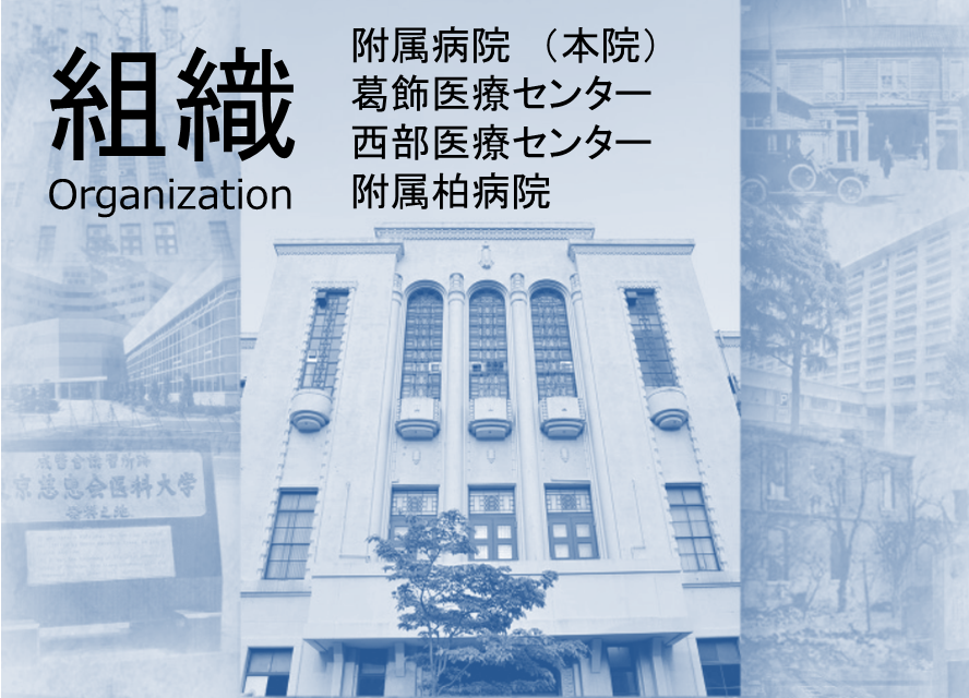 組織へのリンクイメージ